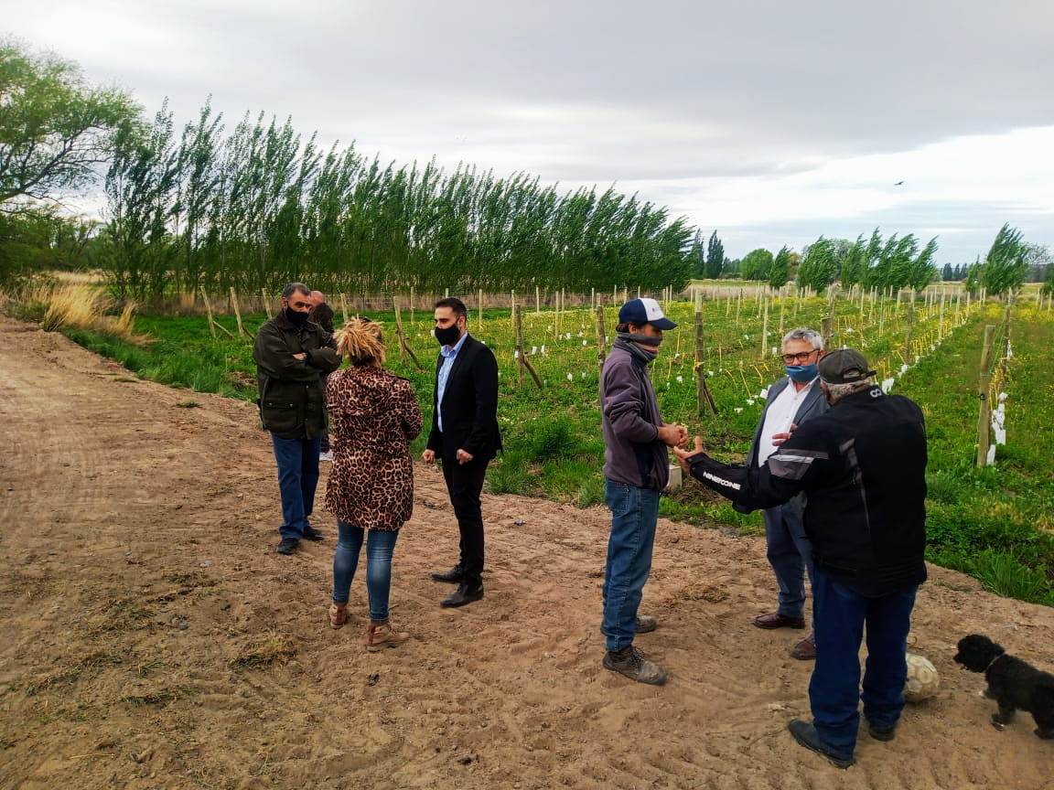 Gaiman finalizará el año con una producción de 2.000 litros de vino