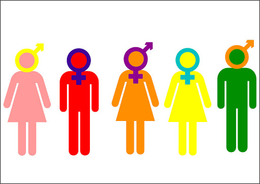 ¿Por qué Metadata contará con un espacio de Género?