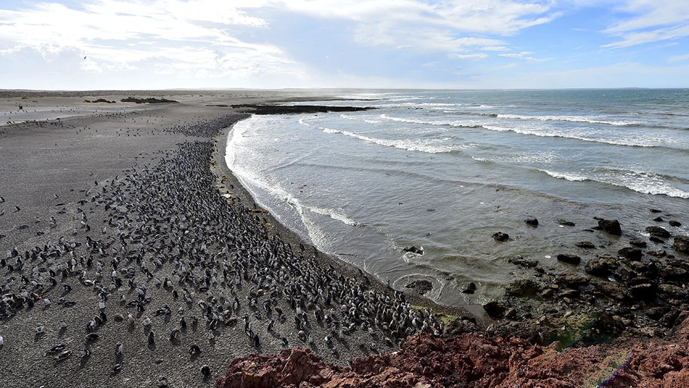 Fuerte optimismo y expectativa de los ministros de Turismo Patagónicos por el Sello Viajes Seguros