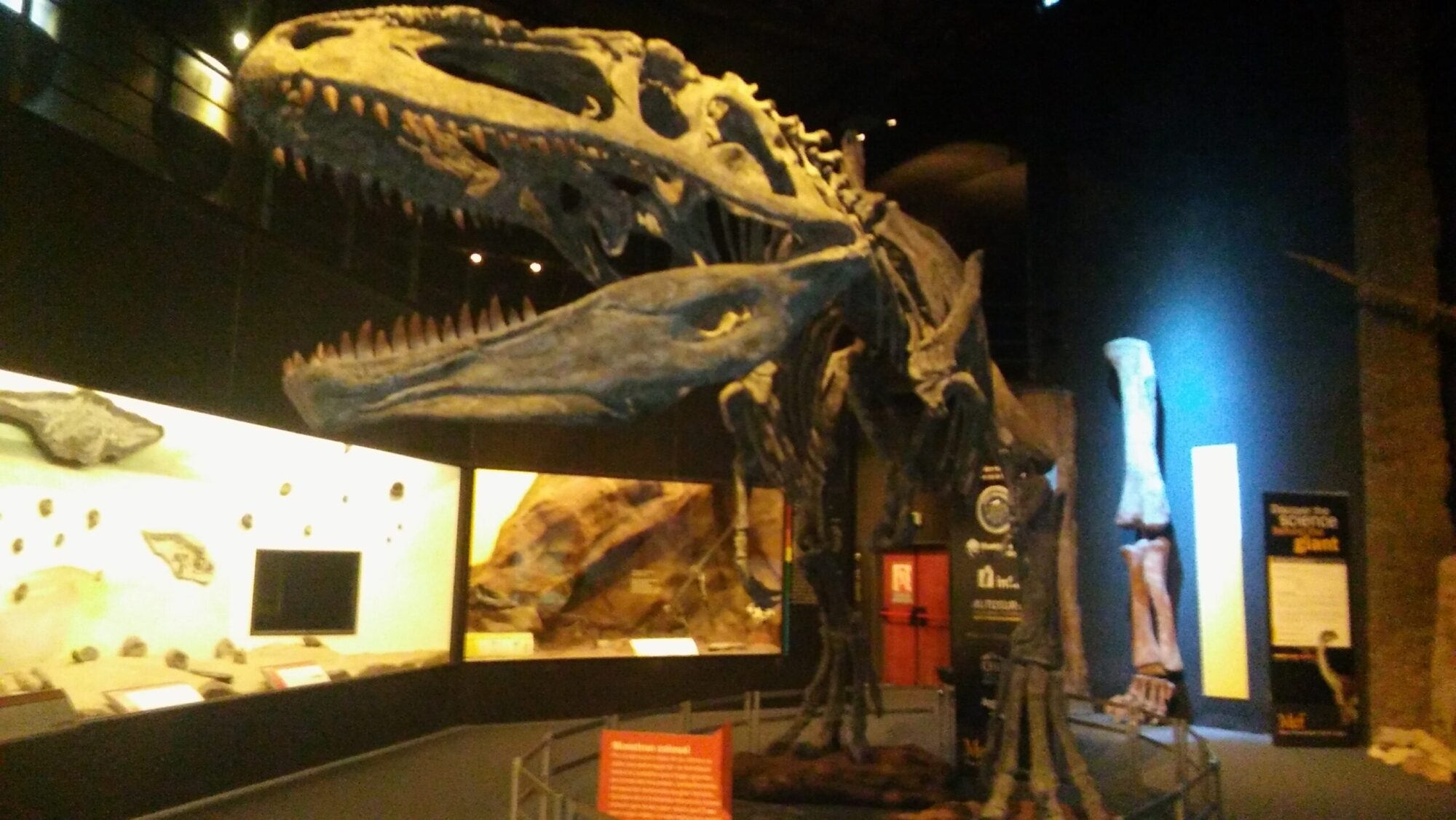 La casa de los dinosaurios vuelve a abrir el martes en Trelew y a partir del sábado se podrán adquirir las entradas en forma online