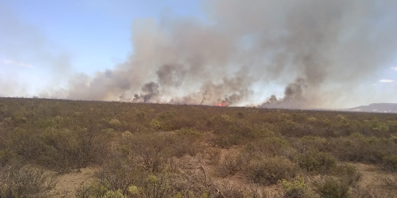 Incendio en Telsen: no hay precisión sobre la cantidad de hectáreas quemadas aunque el fuego está controlado