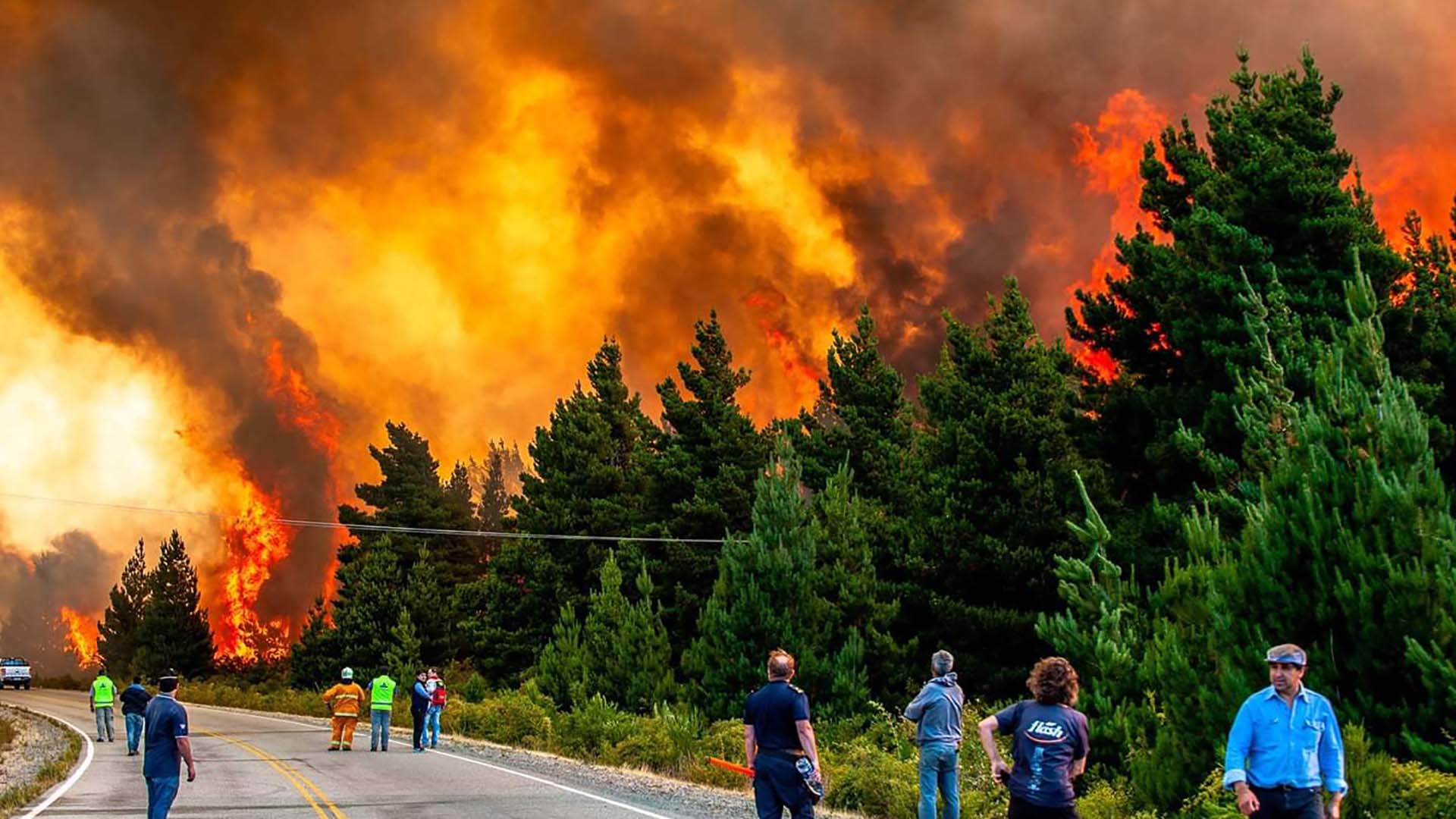 Chubut: Desde que comenzó el año hubo 6.261 hectáreas afectadas por incendios, un equivalente a 4.400 canchas de fútbol