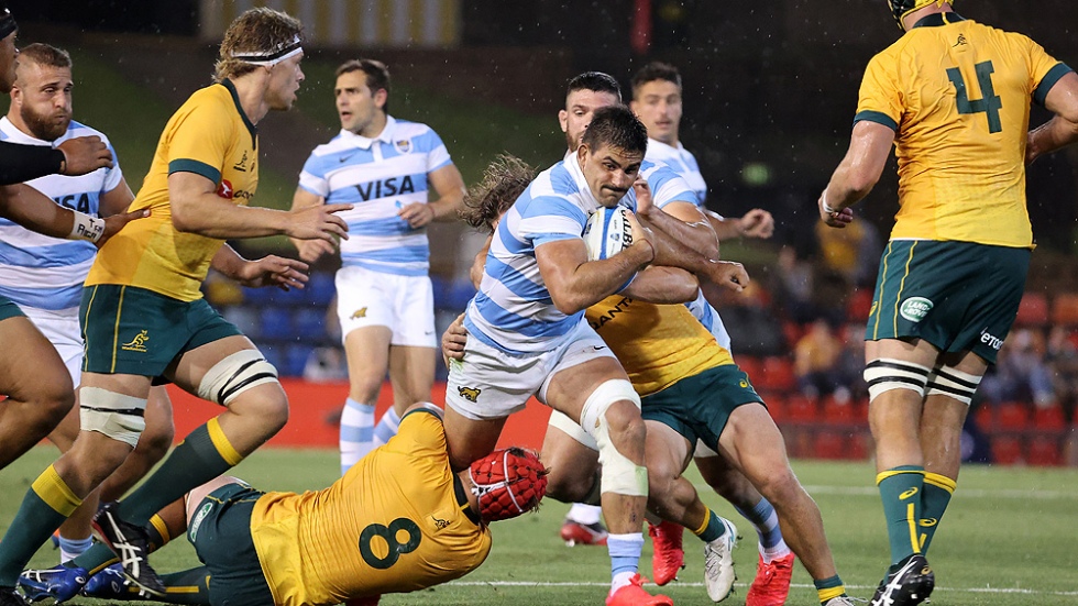 Los Pumas empataron contra Australia en un partido cerrado y el sábado que viene reciben a los All Blacks