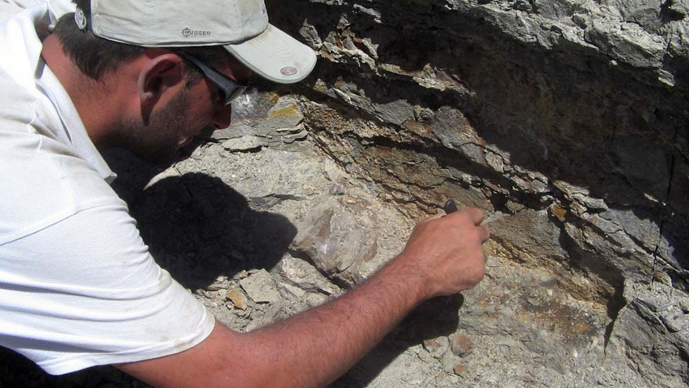 Descubrieron en Chubut una nueva especie de dinosaurio que ayuda a brindar respuestas sobre el calentamiento global volcánico