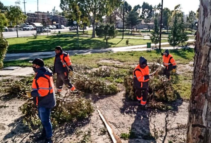 Sastre avanza en el desarrollo de un proyecto de energías sustentables