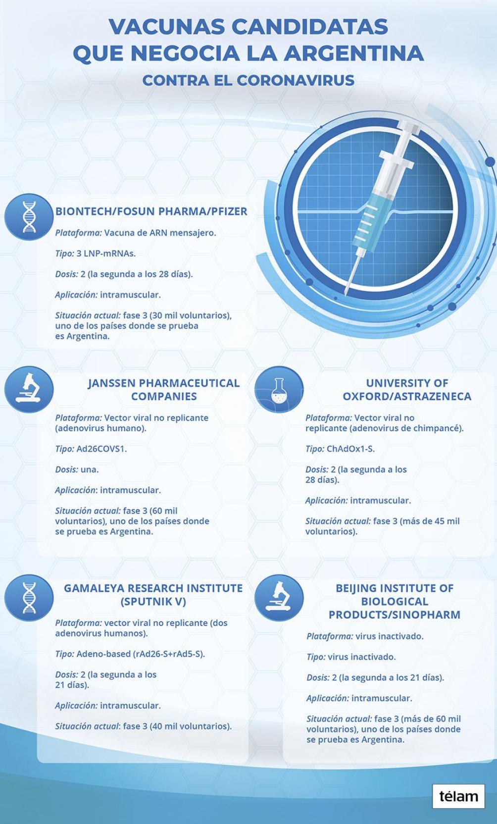 Conocé cuáles son las cinco vacunas contra el coronavirus que podrían llegar a la Argentina