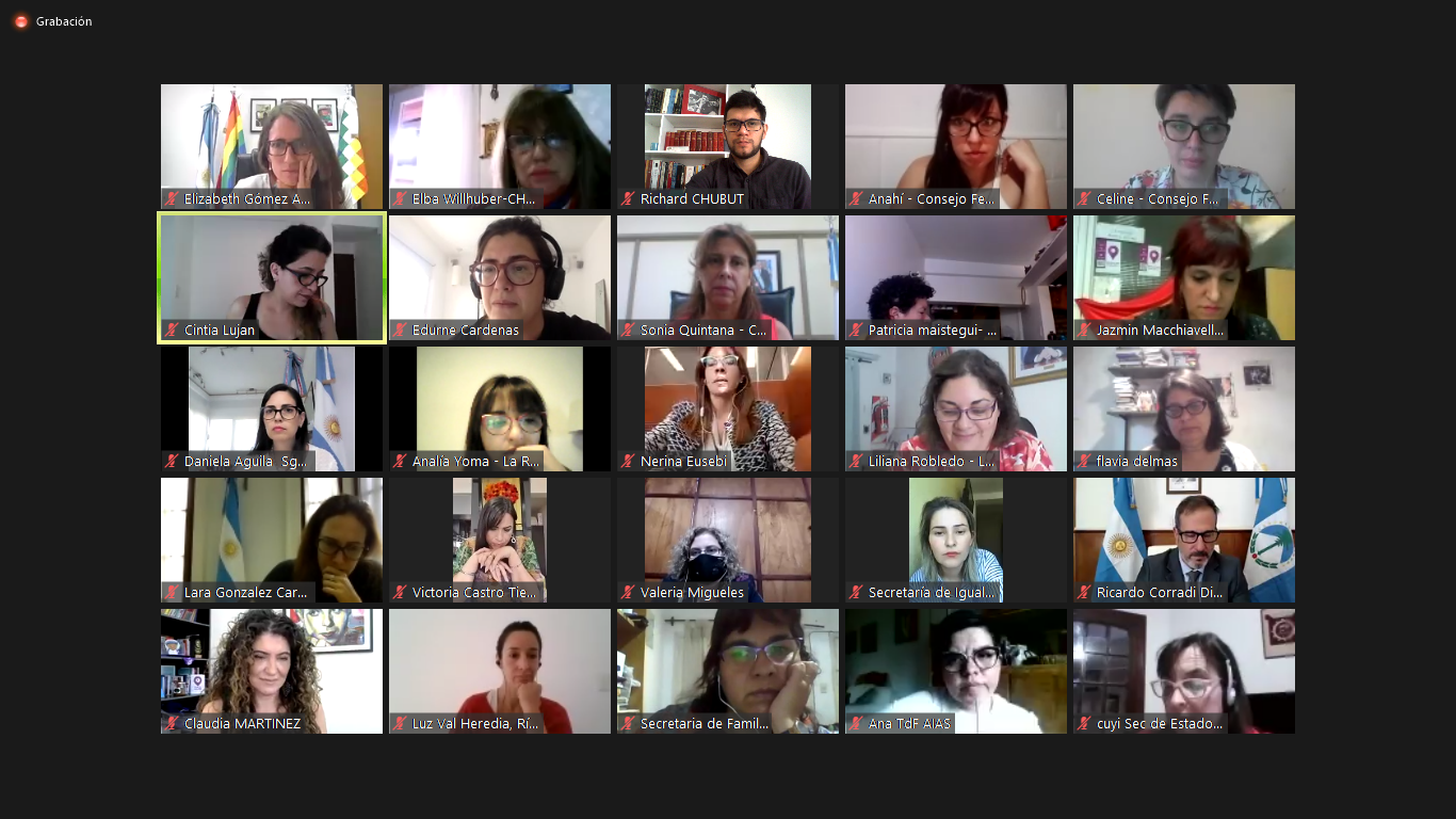 Chubut participó del Consejo Federal del Ministerio de las Mujeres que encabezó Gómez Alcorta