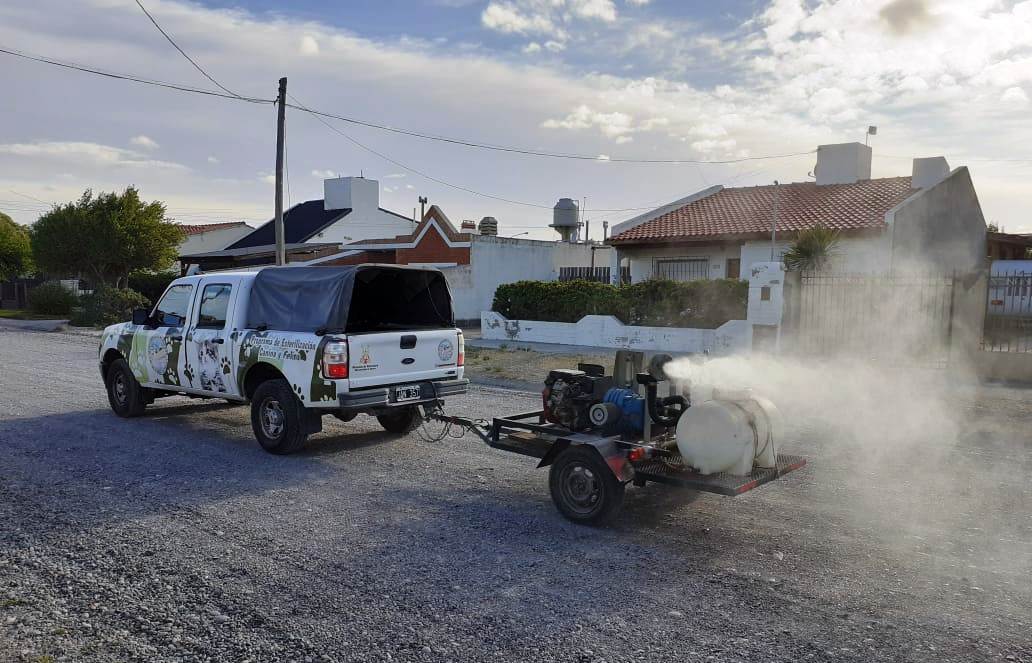 El municipio fumigó distintos sectores de Playa Unión