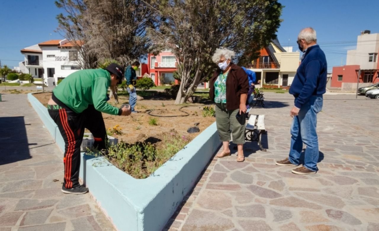 Rawson fortalece el programa de forestación en Playa Unión