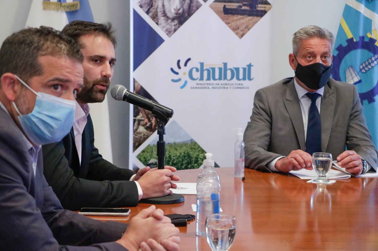 Ahora los celíacos en Chubut podrán conocer desde una aplicación cuáles son los locales que tienen productos sin TACC
