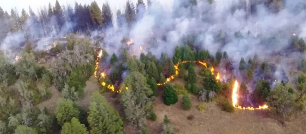 Tres provincias Patagónicas mantienen incendios forestales activos en Lago Buenos Aires, El Bolsón y Caleu Caleu