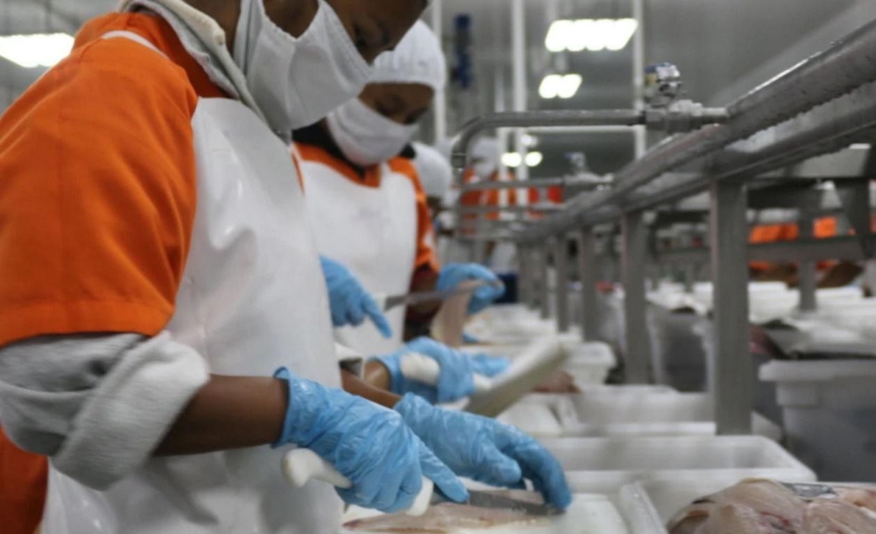 La Capech pidió a Pesca de Nación fondos para capacitar en temporada baja a fileteros de plantas de Chubut