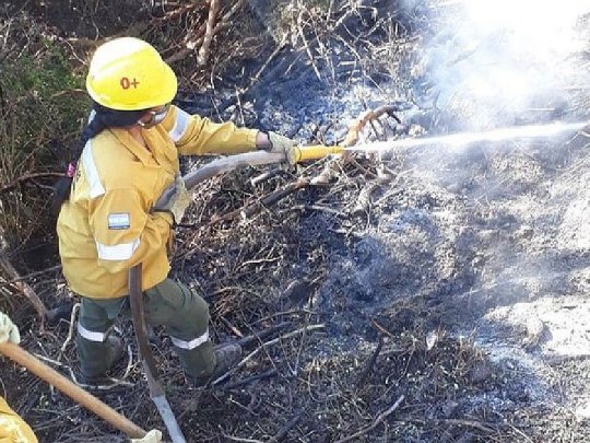 Federovisky: “Hay focos del incendio contenidos, pero no controlados” en El Bolsón