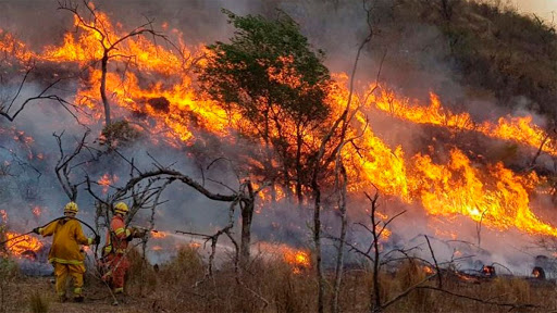 Chubut, entre las provincias afectadas con focos activos de incendios forestales