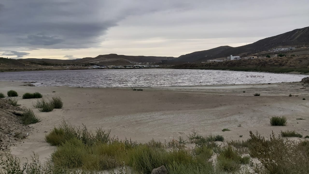 Desde Rada Tilly explicaron que el olor que se percibió en los últimos días en la ciudad fue producto de bacterias que produces gases sulfurosos en la laguna