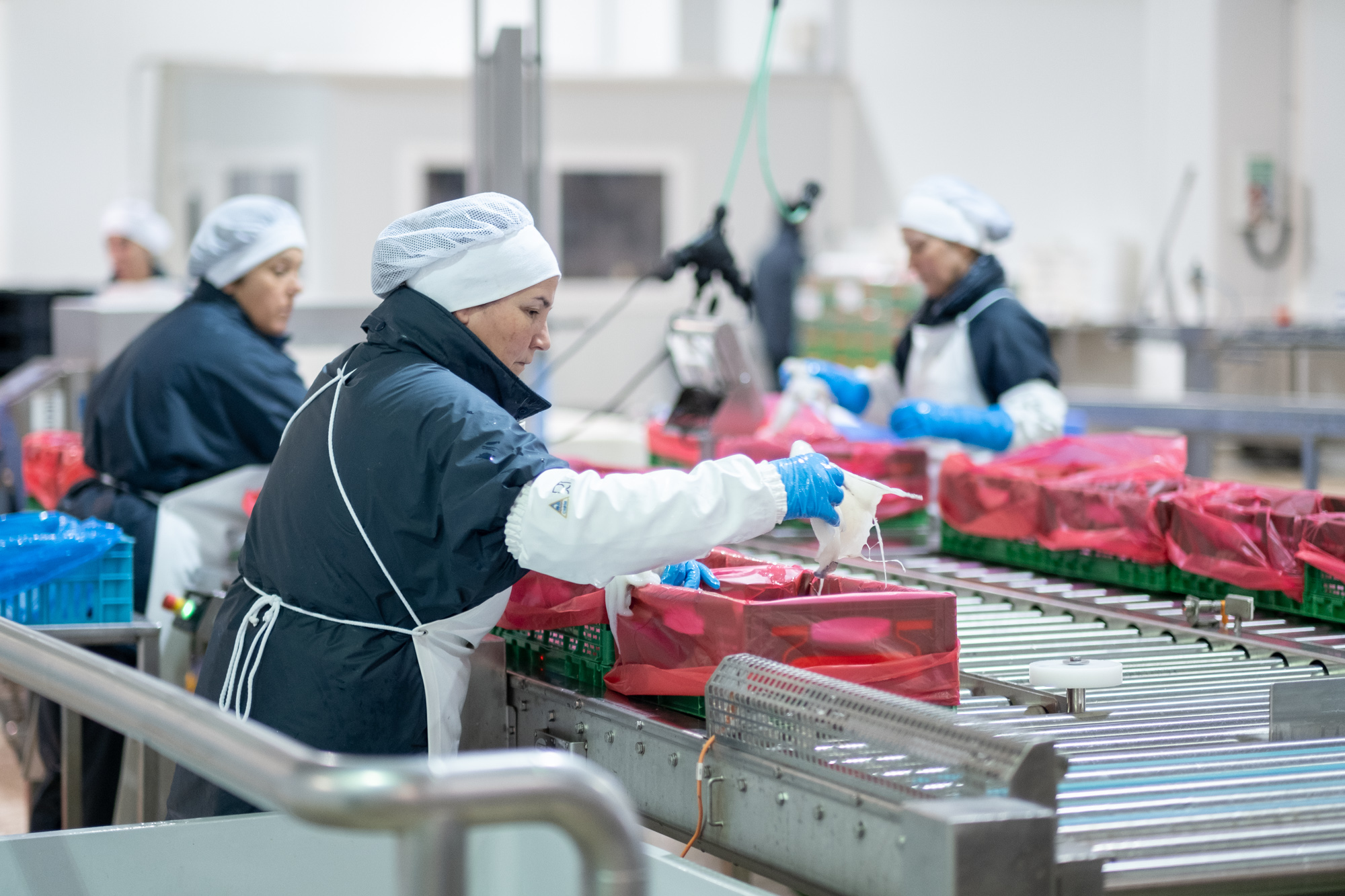 La Capech le pidió al gobernador Arcioni la cuota de merluza de la ex empresa Alpesca para sostener el empleo durante la temporada baja del langostino