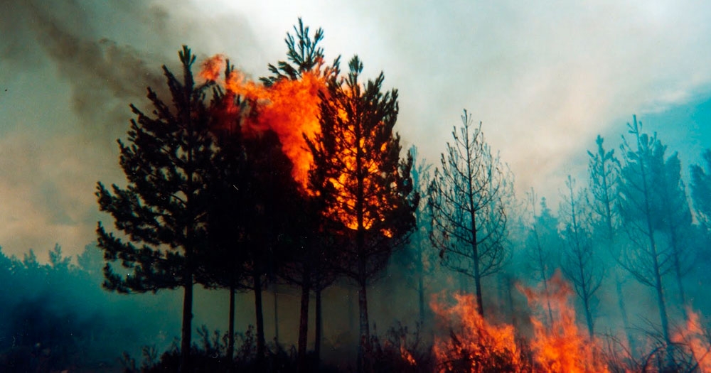 El Gobierno del Chubut efectivizó aporte económico para enfrentar la temporada de incendios