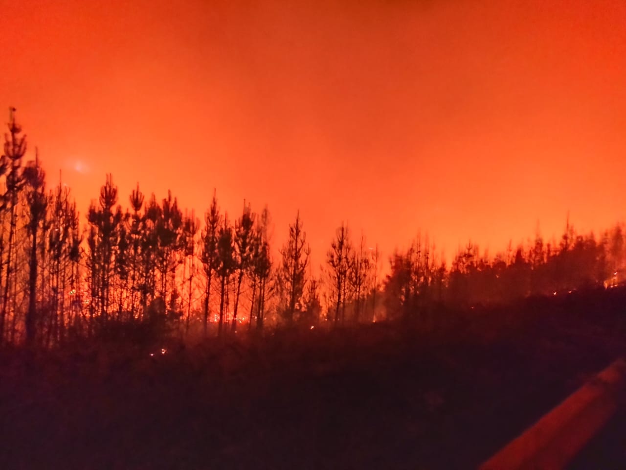 Intendentes, diputados y famosos se hicieron eco de los incendios en la provincia del Chubut