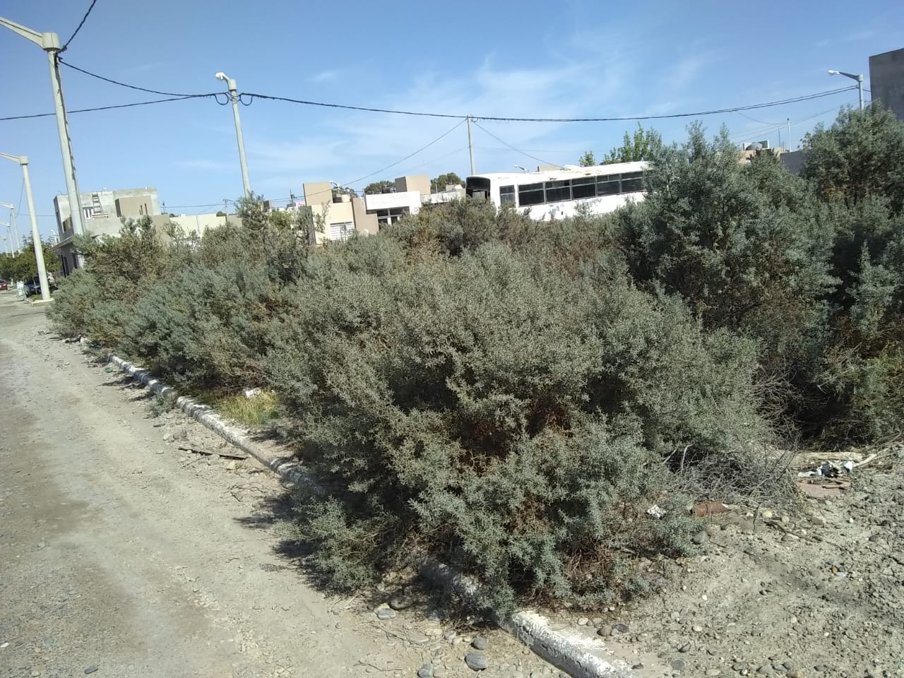 El municipio de Trelew multó a propietarios de terrenos baldíos por falta de limpieza