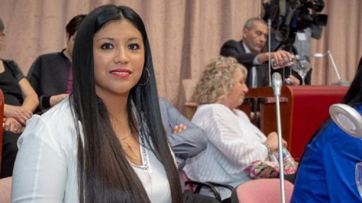 Tres diputadas presentaron un proyecto de ley para que Chubut adhiera al Consejo Federal para la Prevención y Abordaje de Femicidios