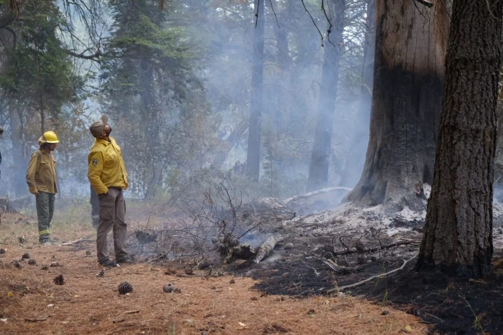 Continúan activos los incendios forestales que afectan a Chubut y Río Negro