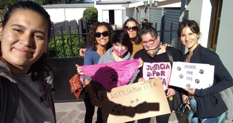 El caso de la perra “Tita” que perdió la vida tras recibir un disparo de arma de fuego fue elevado a juicio oral y público