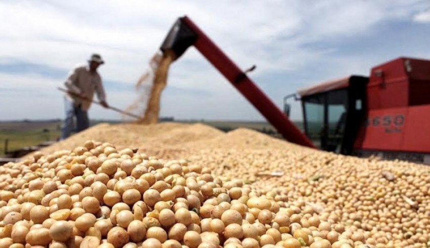 Exportaciones de aceite de soja impulsan récord en la liquidación de divisas en el primer trimestre