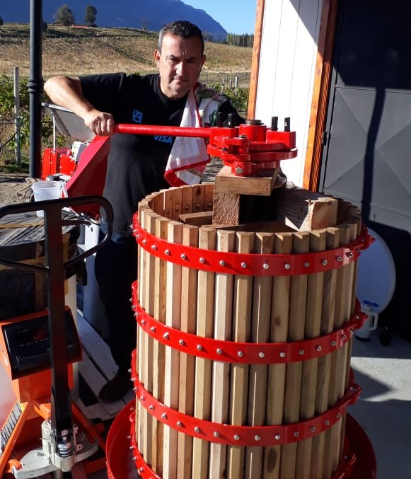 Producen vino blanco en El Hoyo con uva cosechada en Comodoro Rivadavia