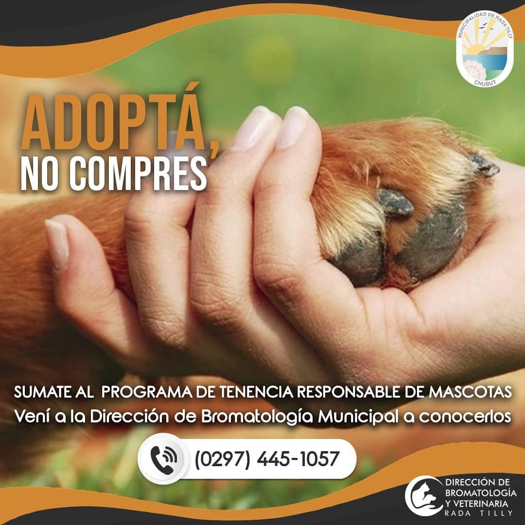 “Adoptá, no compres”, el Municipio de Rada Tilly fomenta la adopción de perros sin hogar