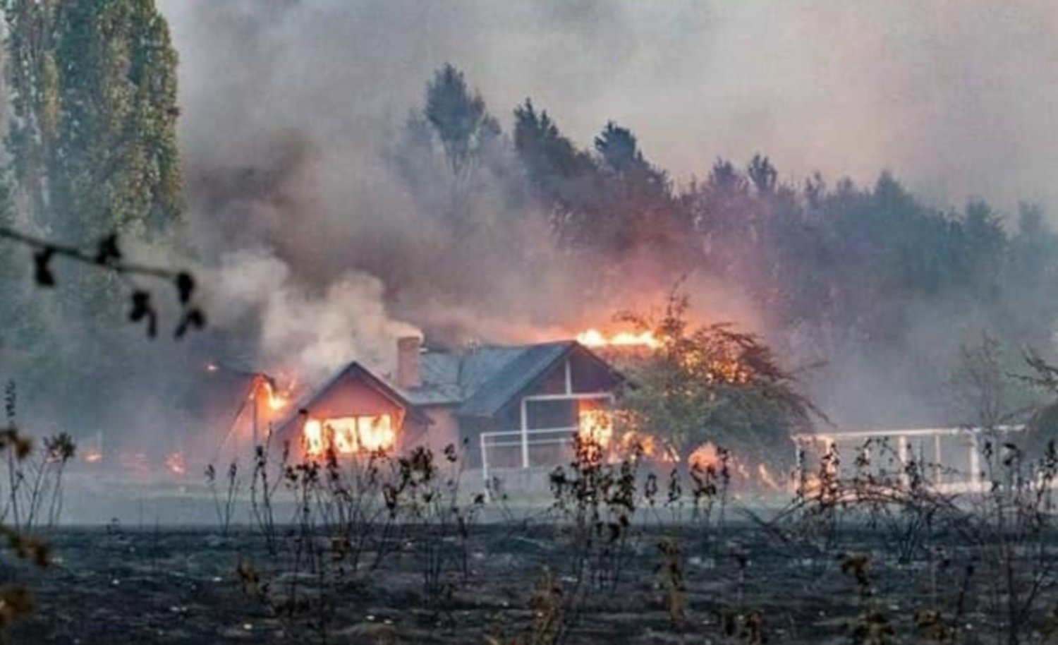 Avanza la conformación de la mesa interinstitucional para la restauración del área afectada por los grandes incendios