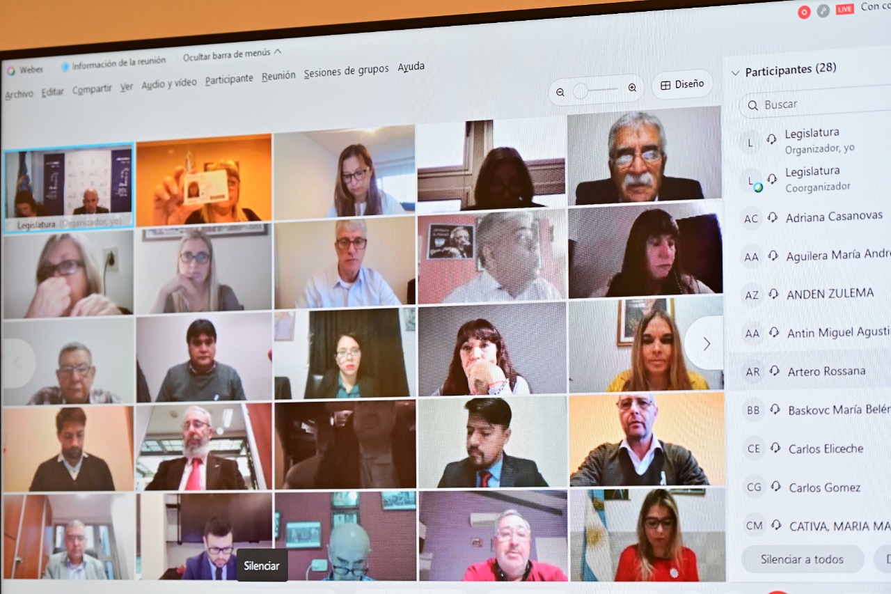 Diputados aprobaron la prórroga de la Emergencia Sanitaria en Chubut con fuertes cruces entre el peronismo y la UCR por la corrupción