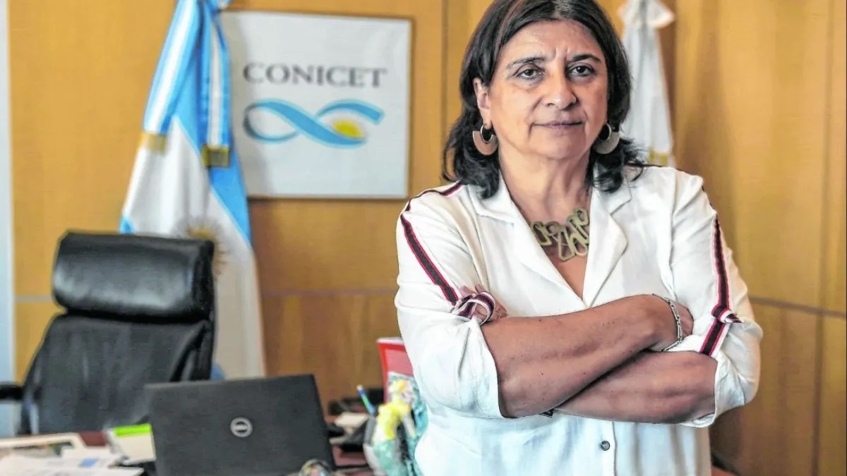 La presidenta del CONICET ratificó que el organismo no está en contra de la minería y detalló toda la participación que tienen en proyectos vinculados a la actividad