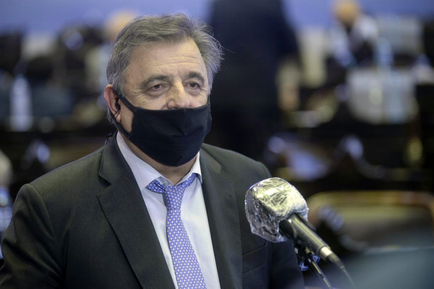 Negri por las críticas internas sobre la postergación de las elecciones: “La decisión de apoyar esta ley la tomó la Mesa Nacional de Juntos por el Cambio”