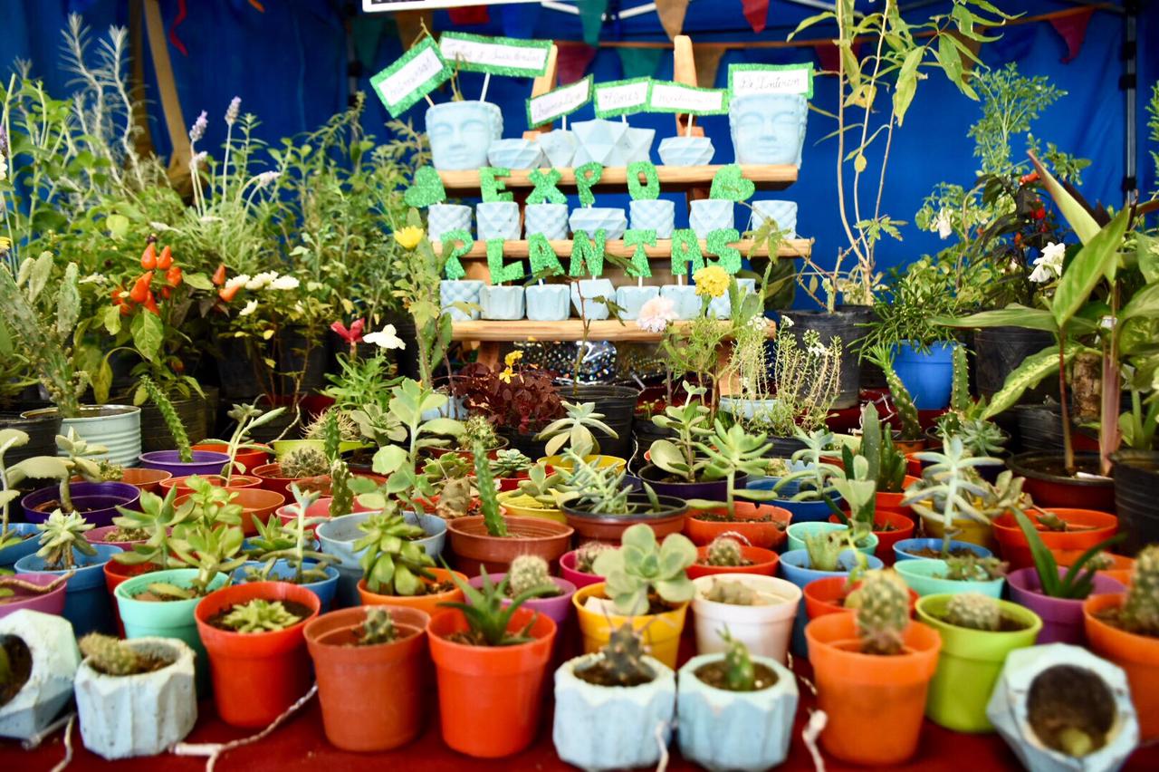Con más de 70 expositores, se realizó en Trelew la segunda edición de Expo-Plantas en el predio de la  Rural