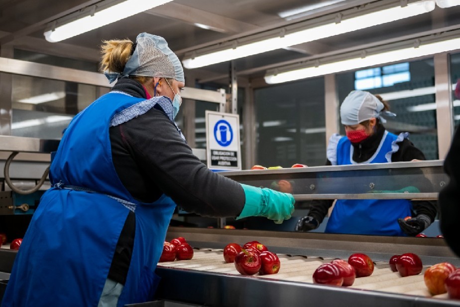 Nación redujo a cero las retenciones a exportaciones agroindustriales de las economías regionales