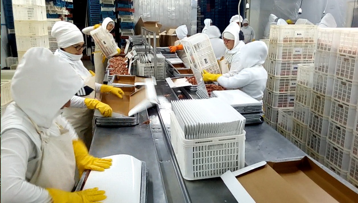 Diputados oficialistas analizaron con la Capech la nueva ley de Pesca para Chubut y los altos costos que afrontan las plantas