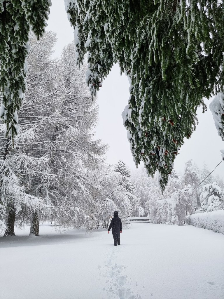 Tras las intensas nevadas, en Bariloche se reactivarán las pistas de esquí