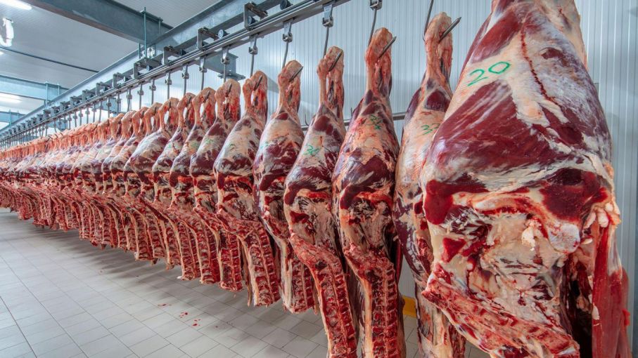 La Aduana incrementó los valores de referencia para la exportación de carne bovina