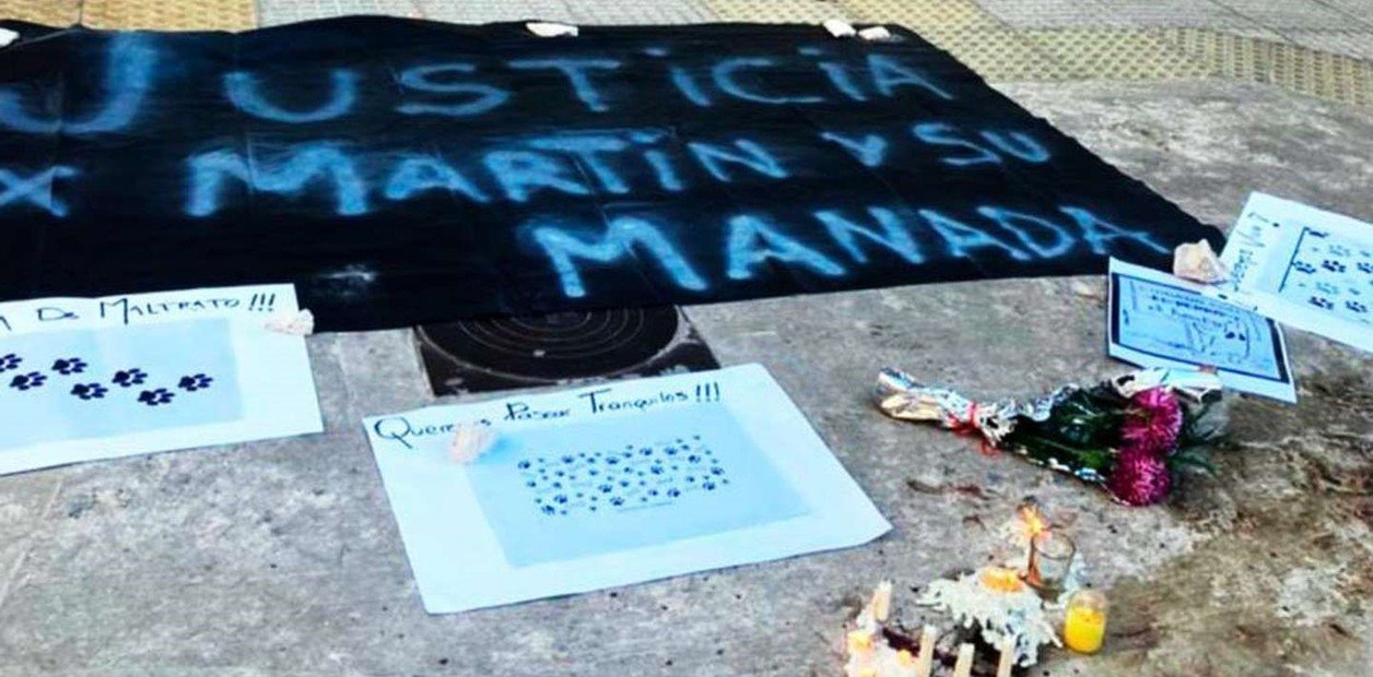 Un conductor atropelló a un paseador en Belgrano y mató a cuatro perros