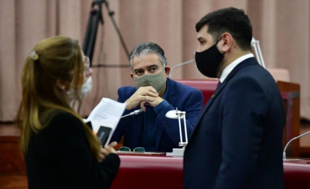 Diputados de la UCR presentaron un proyecto para regular la creación de un Colegio de Profesionales de Ciencias Naturales en Chubut