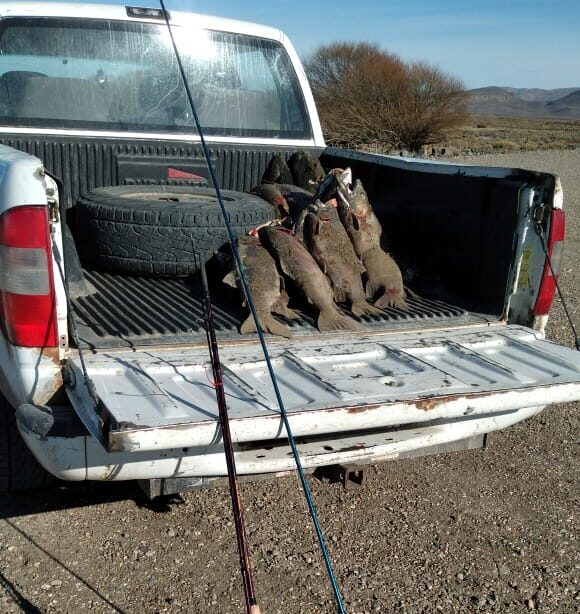 Se decomisaron cañas, truchas y equipos a pescadores furtivos en Sarmiento