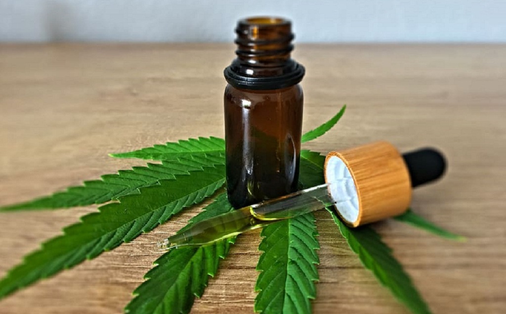 Chubut presentó en Nación el proyecto de desarrollo productivo de cannabis para uso medicinal y terapéutico