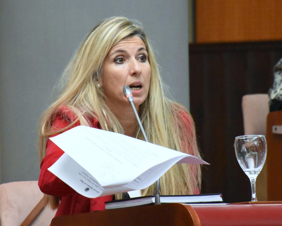 Caminoa afirma que no se respetaron los alcances del acuerdo del Juntos por el Cambio y planteó a la Junta Electoral que defina si tiene que ir ella o Terenzi