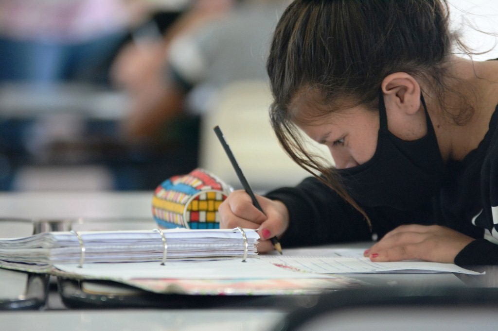 Relevarán la opinión de quienes cursan sexto grado sobre cómo vivieron este tiempo de pandemia