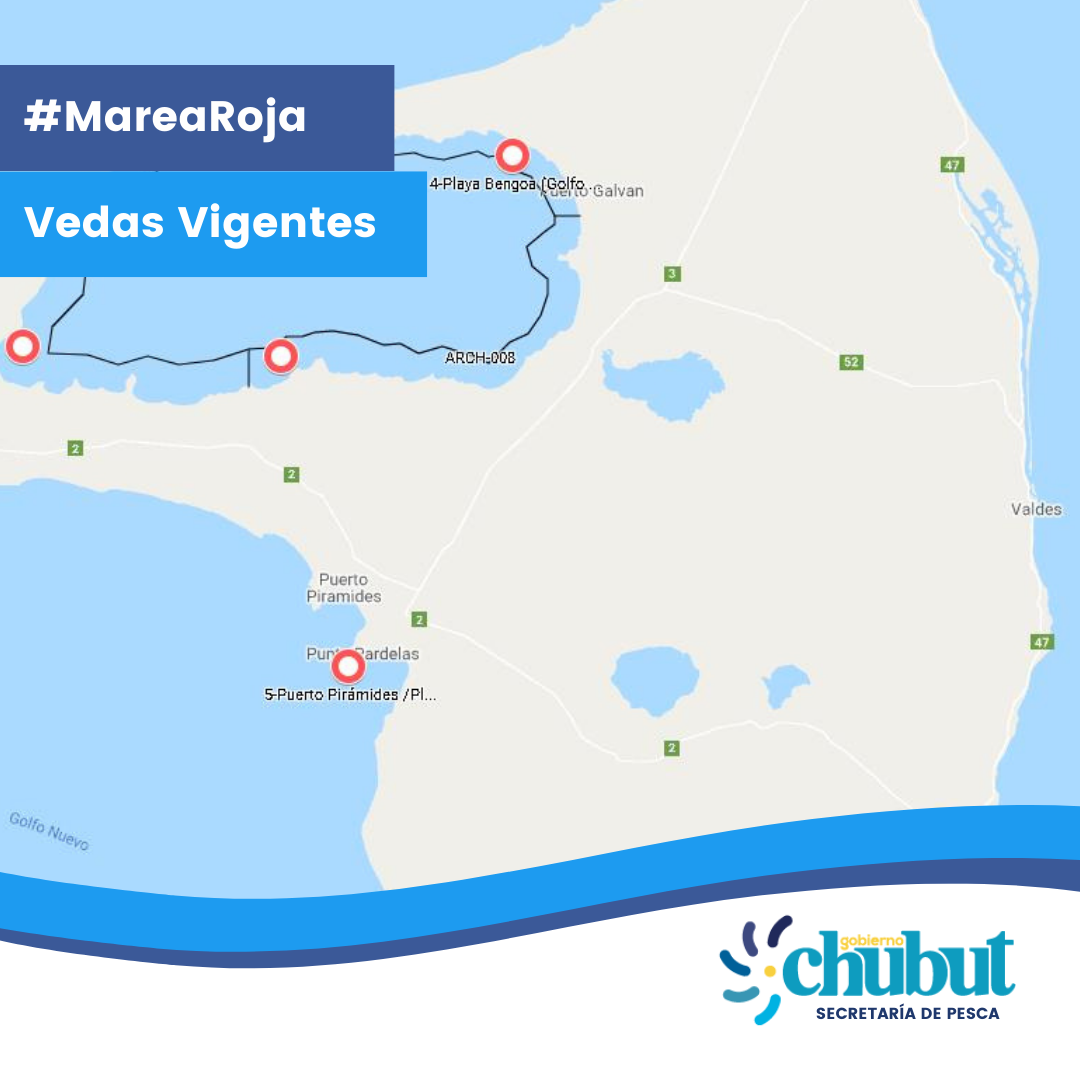 Por una toxina paralizante de moluscos, Chubut dispuso una veda en Punta Pardela