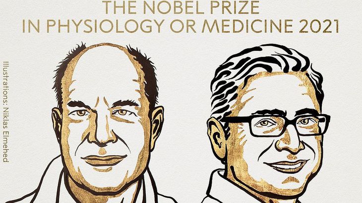 Dos científicos ganaron el Premio Nobel de Medicina  por el descubrimiento de receptores para temperatura y tacto