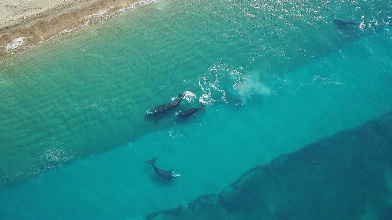 Lammens sobre el feriado extra large: “Es el mejor de los últimos 10 años”