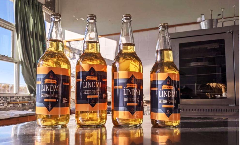 Cuatro proyectos representarán a Chubut en la Feria Nacional de Innovación Educativa