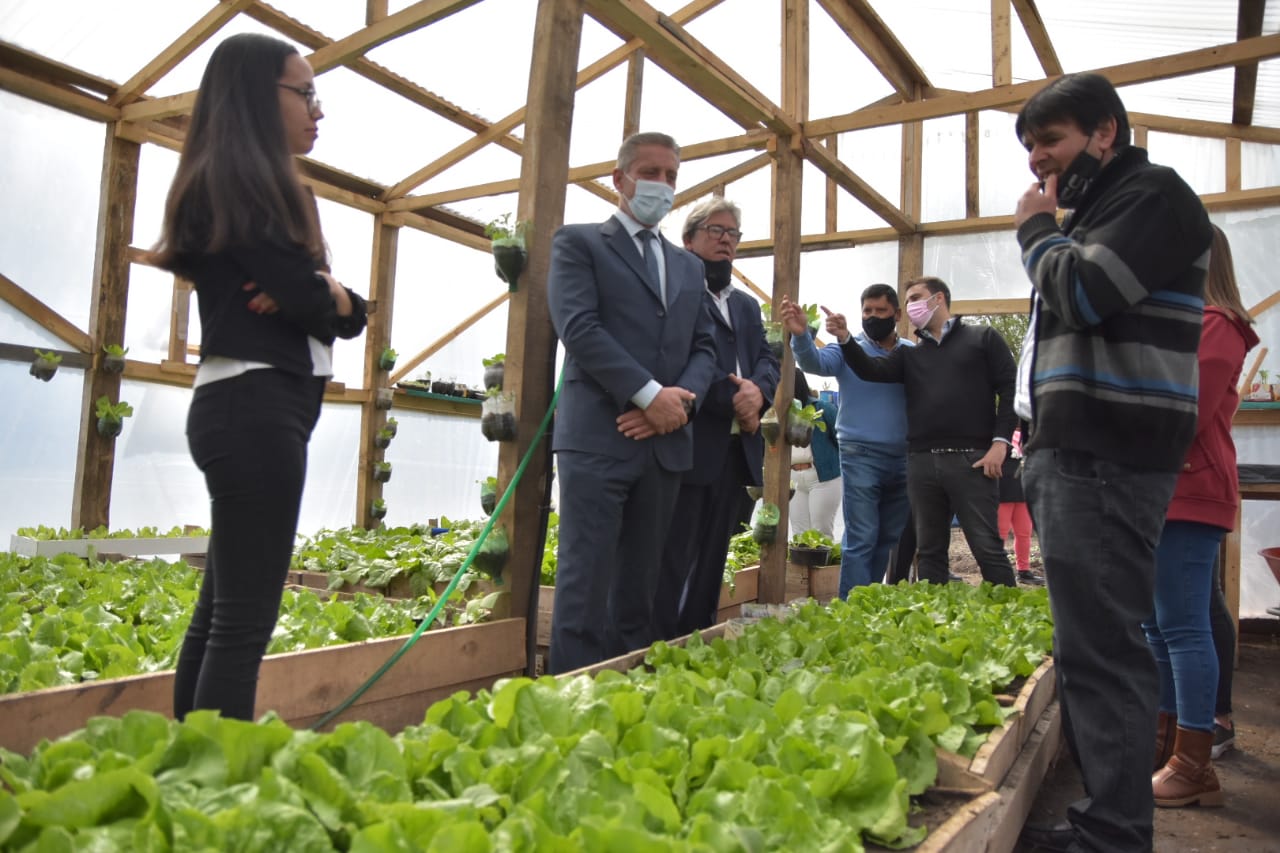 El Programa de Agricultura Familiar ya produces verduras frescas en una comuna rural de Chubut