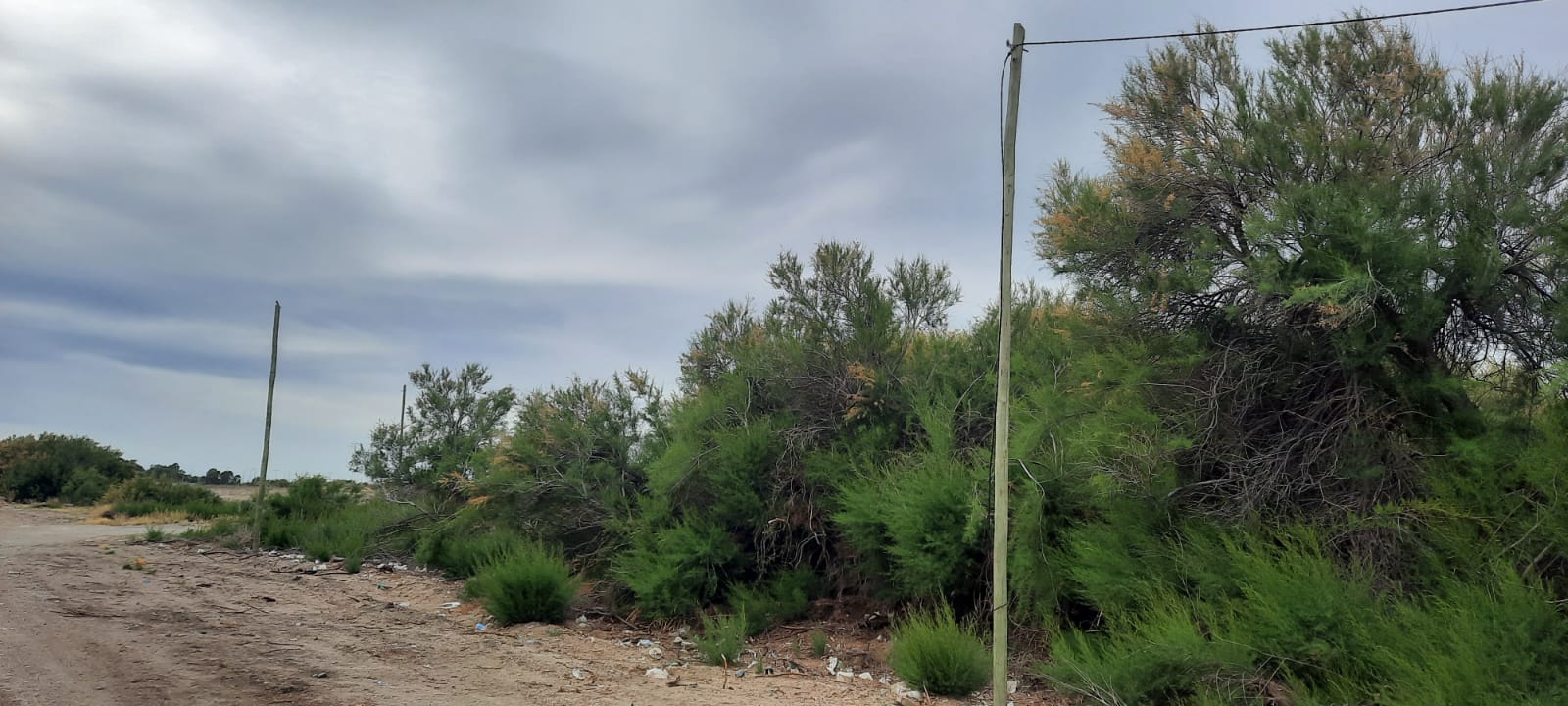 Robaron 90 metros de cables energizados en la ciudad de Rawson